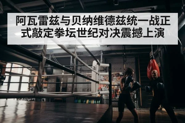 boxer training